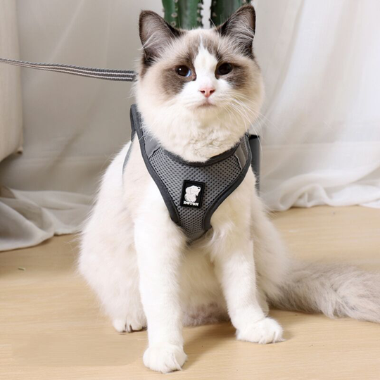 Silver Gray Adjustable L-Shape Kitten Collar with Cat Strap Clip on Top Thsinde