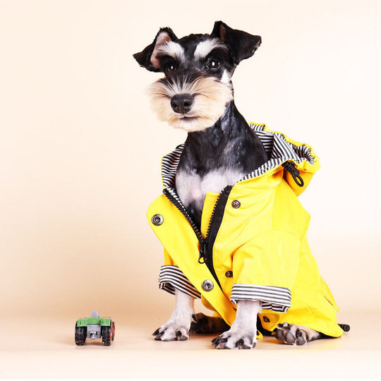 Dog raincoat with buttons, waterproof/rain, adjustable drawstring