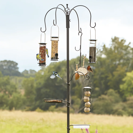 Toro Decorative Bird Feeder