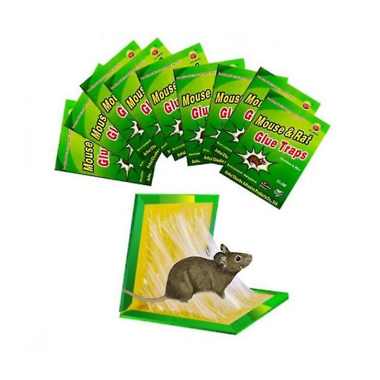 Sticky Mouse Board Sticky Board Mouse Trap, Strong Grip, 10 Pack Mouse Trap