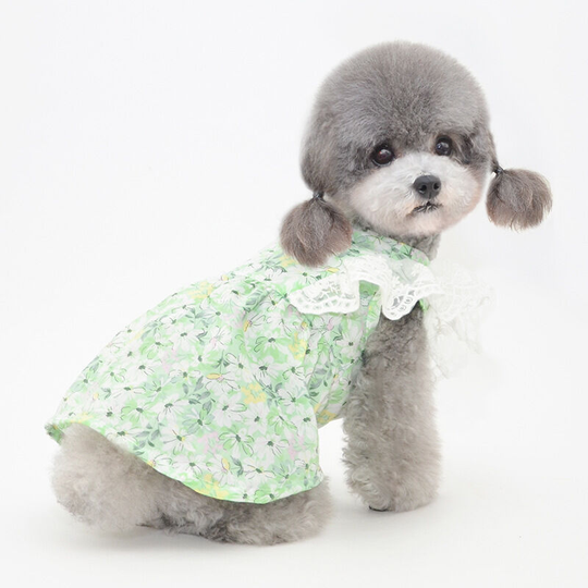 Pet skirt spring and summer puppy skirt Teddy Pomeranian vip Fighting clothes skirt cat clothes pet clothes lace print flying sleeve skirt - green