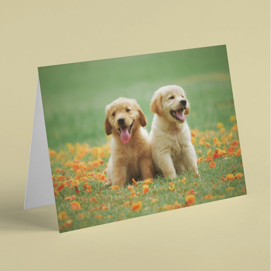 Two cute puppies sitting in a meadow birthday card - female / girl