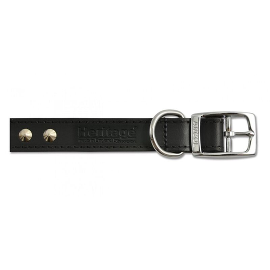 Studded Leather Dog Collar (One Size) (Black) - Black - Ancol