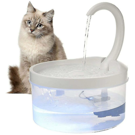 Water fountain, automatic pet water fountain in transparent outlet mode