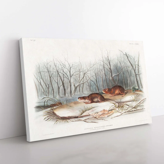 Meadow Mouse - Wrapped Canvas Painting