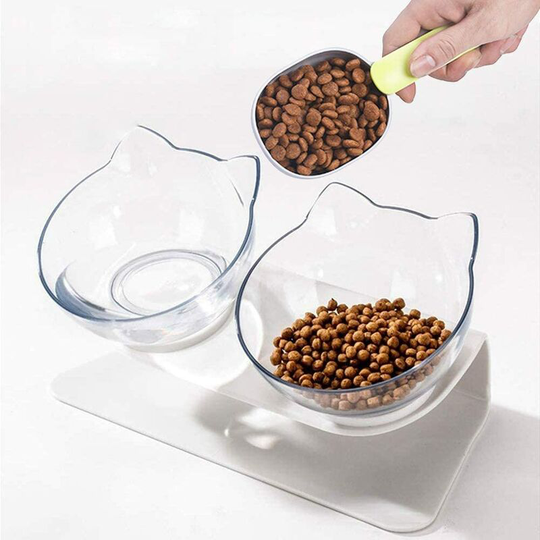 Raised Cat Bowl Anti-vomiting Slanted Cat Bowls For Kitten Double Cat Bowl Clear Plastic