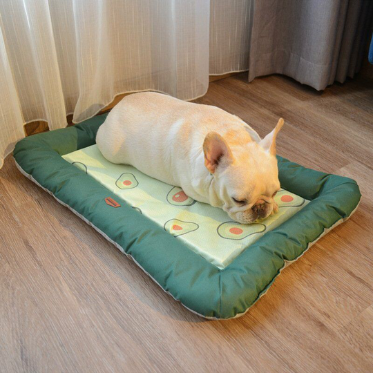 Dog Bed Cushion Large (55*38*5cm), Reversible Dog Bed (Cool and Warm), Removable Washable Cover and Waterproof Layer, Non-slip Bottom - Rhafayre