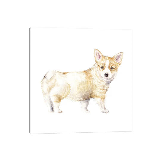 Corgi Puppy by - Wrapped Canvas Painting
