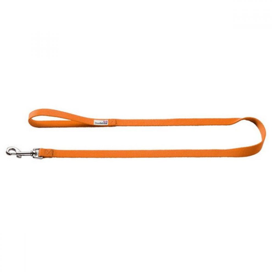 (2.5cm x 1.3m, Orange) Doodlebone Bold Nylon Dog Lead