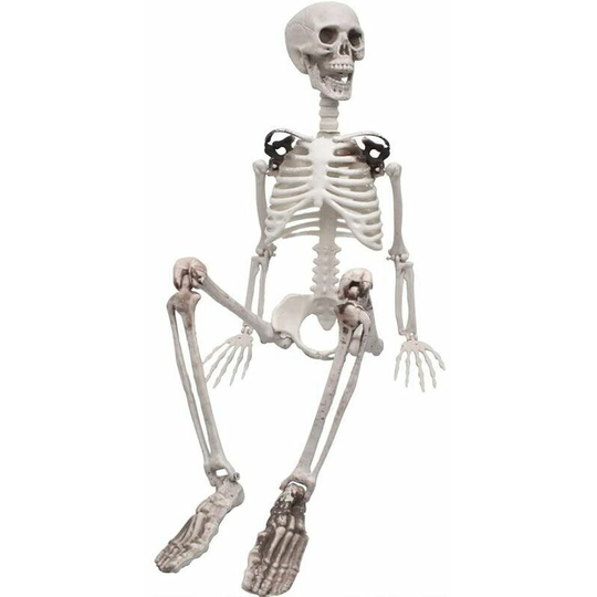 90cm Posable Halloween Full Skeleton Realistic Human Bones with Movable Joints for Halloween Party Decoration