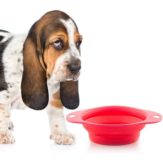 Dog Bowl - Collapsible