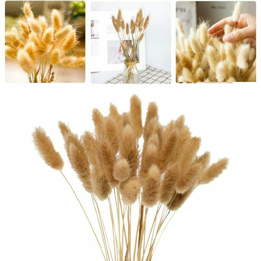 60Pcs 40cm Natural Dried Flowers Pampas Grass, Rabbit Tail Grass Flower Bouquet for Indoor Bedroom Wedding Home Decoration