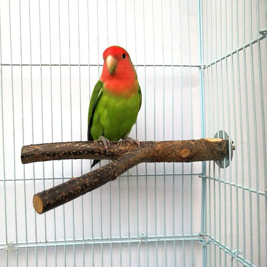 Cage Support Platform, Bird Cage Accessories Grinding Toys for Small Parakeet Cockatiels