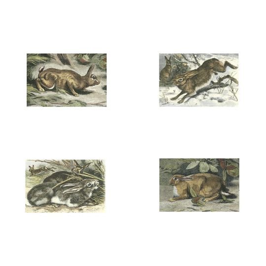 Reverse Spring Tile IX (ST) by Chariklia Zarris - Wrapped Canvas Painting