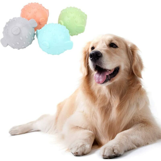 Squeaky Dog Toy, 4 Pieces Soft tpr Fish Shape Chew Toy, Interactive Toy for Dogs and Cats