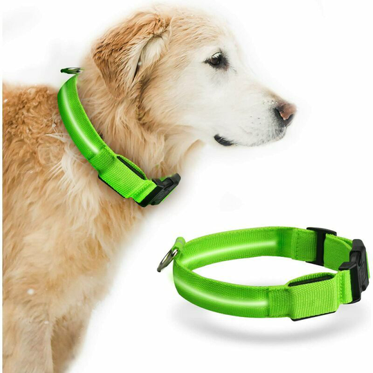 Led dog necklace usb rechargeable bright dog collar with waterproof flashing necklace m m
