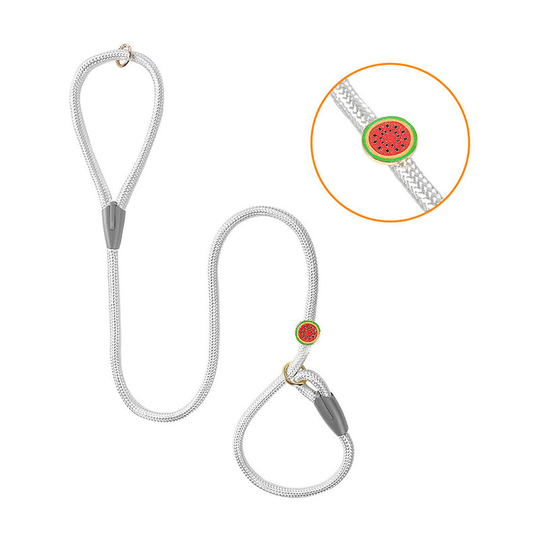 Nylon rope pet dog leash training big dog walking dog rope all-in-one, diamond silver-watermelon 180cm*10mm