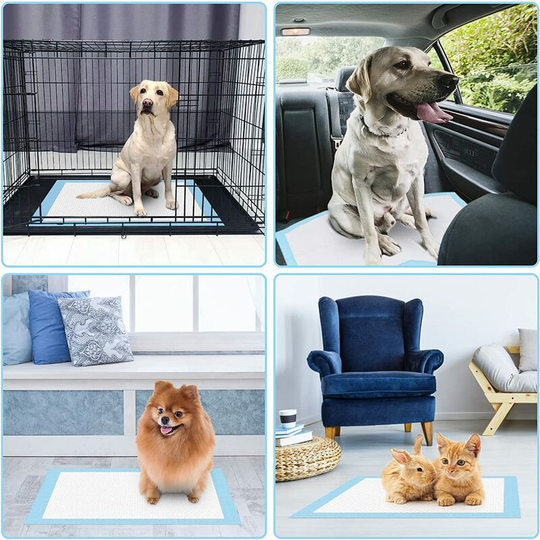 60 Pack Puppy Training Pads Absorbent Pads Waterproof Bottom 45*60cm