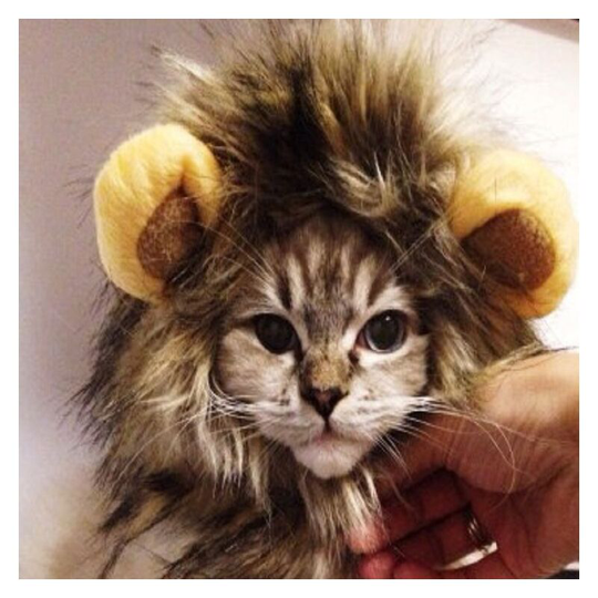 Lion hair hairstyles for small dog cats, lion mane wig puppy cosplay costume for halloween christmas easter party party activity