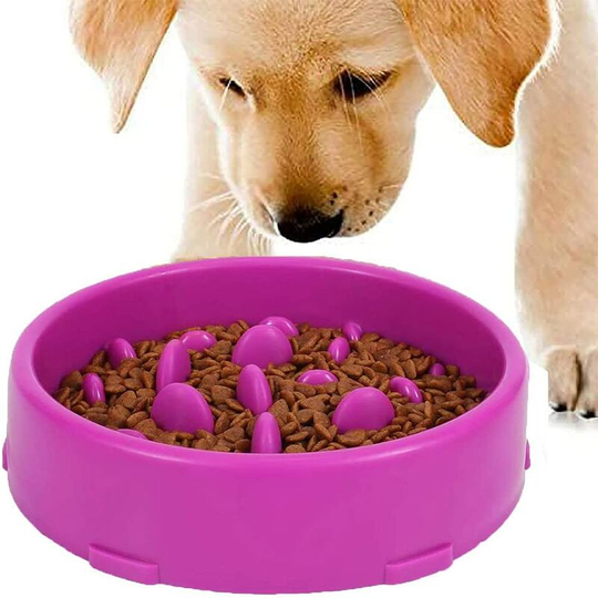 Slow Feeding Bowl for Dogs, Slow Feeding Bowl, Anti Glutton Bowl for Dog Cat, Promotes Healthy Eating and Slow Digestion (Purple)