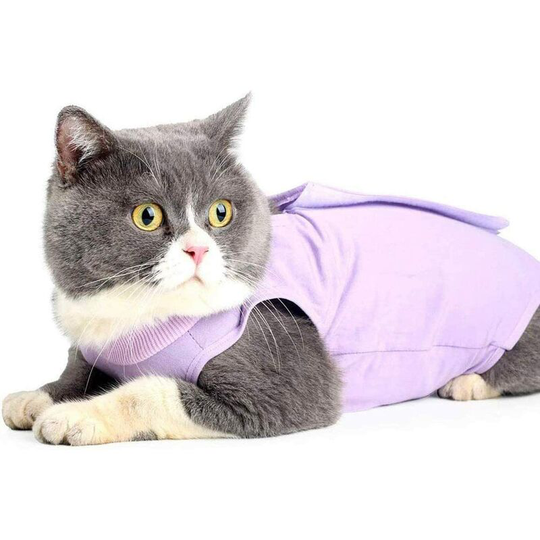 Denuotop - Cat Recovery Vest Anti-Lick Medical Kitten Jumpsuit Suitable for Belly Wound or Skin Disease Weaning and Post-Surgical Protection (l,