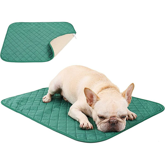 Washable Dog Training Mat Reusable Waterproof Super Absorbent Non-Slip Machine Washable Suitable for Dogs Cats Rabbits (1 Pcs) Green