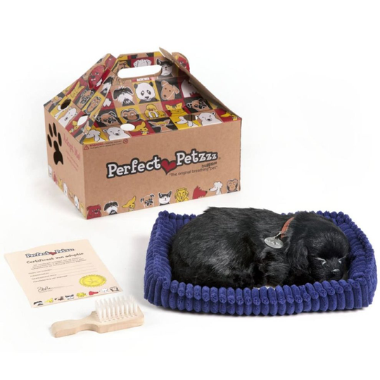 Perfect Petzzz Soft Toy Dog Puppy Pet Animal Kids Children Black Lab 96323