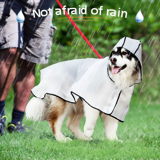 Transparent Dog Raincoat Dog Raincoat with Hood Windproof Waterproof Raincoat Elastic Cuffs Adjustable Waterproof Raincoat for Medium to Large Dogs