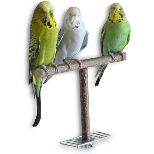 Perle Rare - Wooden Flight Aid Handmade Bird Cage Accessory