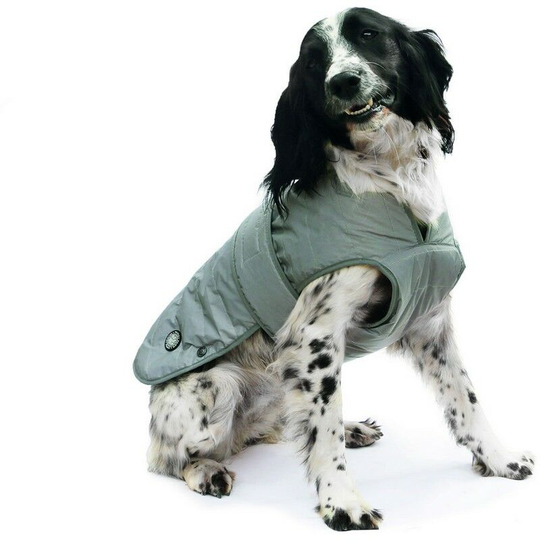 Ancol Ultimate Reflective Dog Coat (M- Chest: 36cm-46cm) (Grey) - Grey