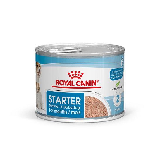 Royal Canin Starter Mousse Mother & Babydog - Saver Pack: 24 x 195g