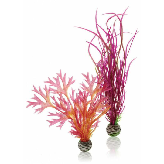 Biorb - Easy Plant, Medium, Pack of 2, Red/Pink