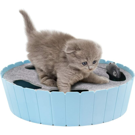 Pawaboo Pet Toy, Electronic Hide and Seek Mouse Interactive Cat Hunting Toy - Sky Blue