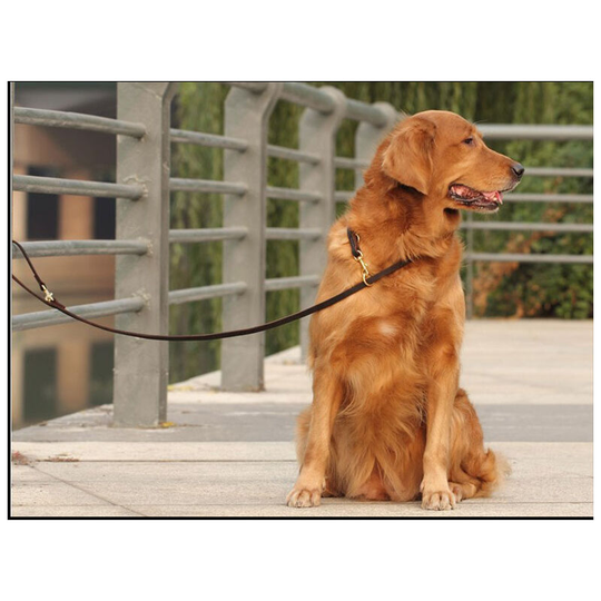 Cowhide dog chain, traction rope, length 2.5 m