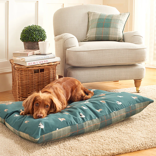 Dog Deep Duvet Pillow in Teal