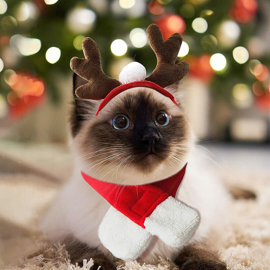 Cat Santa Hat with Scarf, Christmas Costume Set Puppy Dog Cat Santa Hat