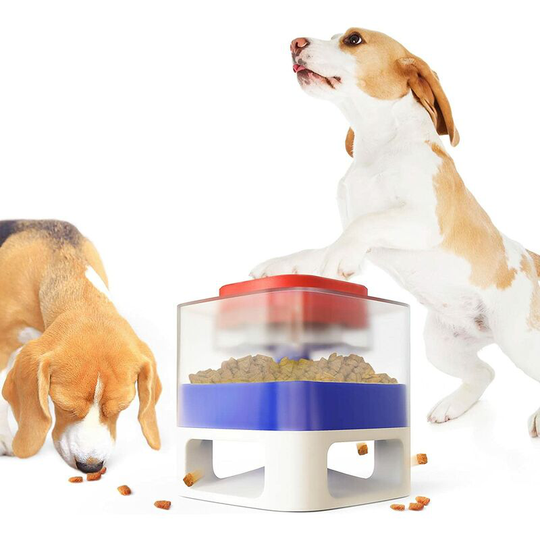 Dog Toy - Slow Food - Catapult - Drinking Water Bowl - Cat Water Dispenser
