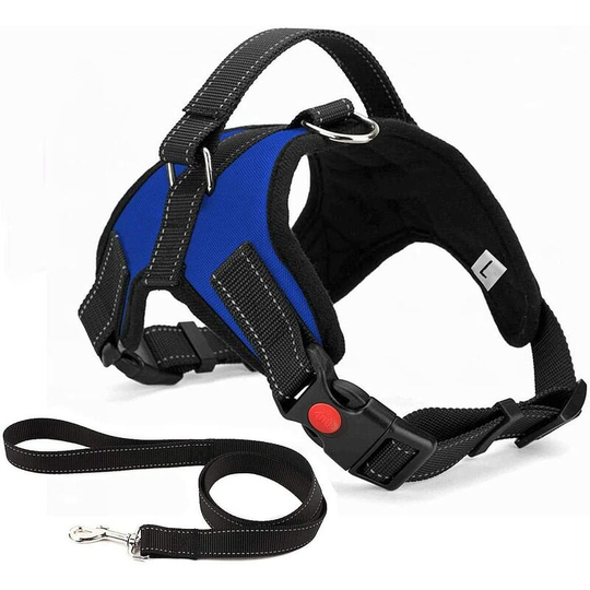 Soekavia - No Pull Dog Harness Breathable Adjustable Comfort co.ukee Lead Included for Small Medium Large Dog Best for Training Walking s Blue