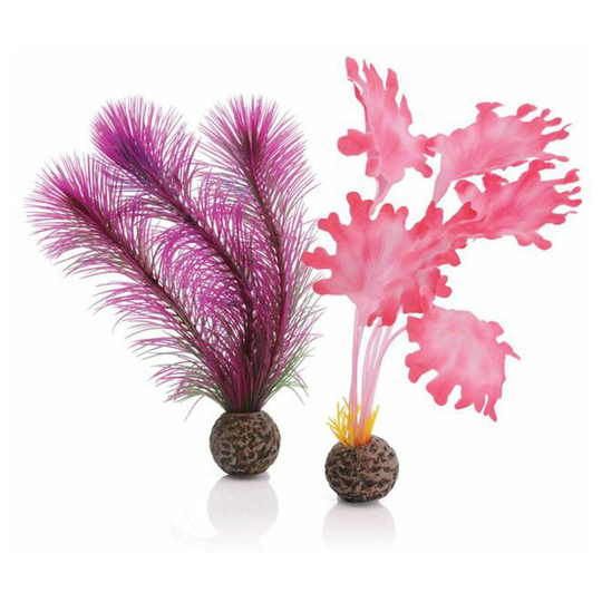 Kelp, Small, Pink - Biorb