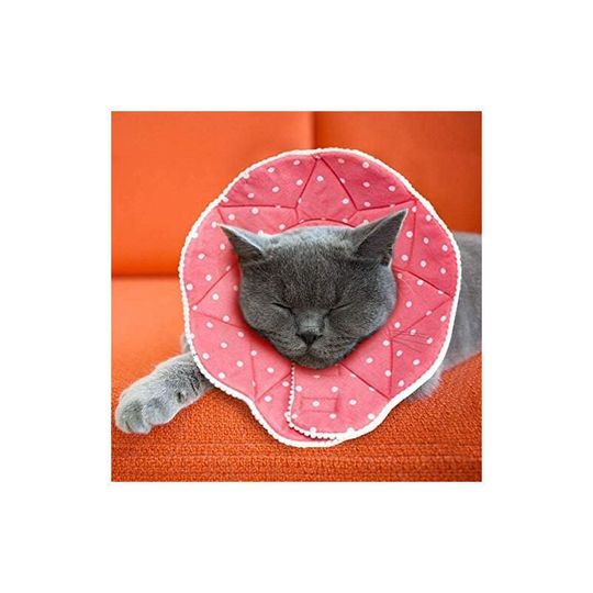 Comfortable post-surgery collar for cats and dogs, sturdy, waterproof, scratch and bite resistant, easy to clean, with adjustable clip
