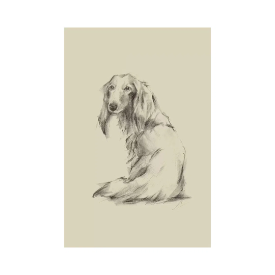 Puppy Dog Eyes II by Ethan Harper - Wrapped Canvas Art Print
