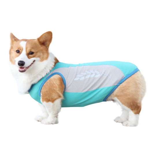 Pet it, Corgi, cool down dog clothes, summer pet cooling vest, pet cooling vest m