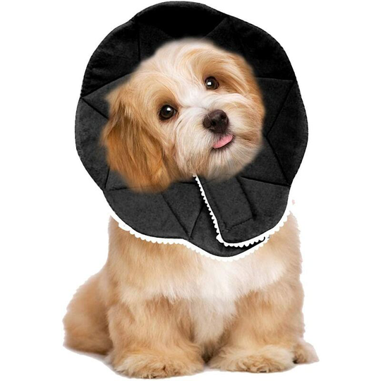 Scratch Resistant Stress Free Pet Recovery Collar Easy to Clean and Clean with Adjustable Straps for Dogs and Cats Black (xl)