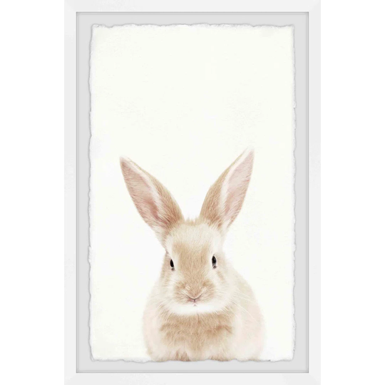 'Rabbit Close-up' by Marmont Hill Framed Art Print