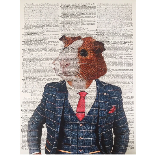 A3 Guinea Pig Vintage Dictionary Print - Humanised Animal Wall Art Picture Animal In Clothes