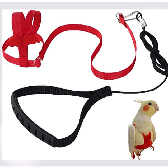 Adjustable Parrot Harness Pet Leash Anti-Bite Rope Elastic Strap for Birds Parrots Cockatoos Macaws(Red, m)