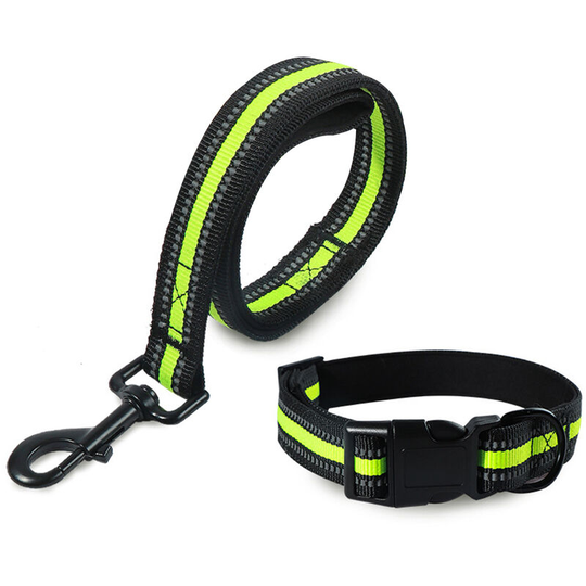 Dog Collars And Leashes - Dog Collars And Leashes