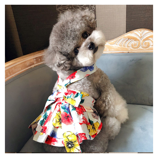 Benobby Kids - 1 set Pet clothes bow dress cotton printed Teddy Chenery Fighting Pomeranian dog and cat clothes (bright flowers, medium) (m) back