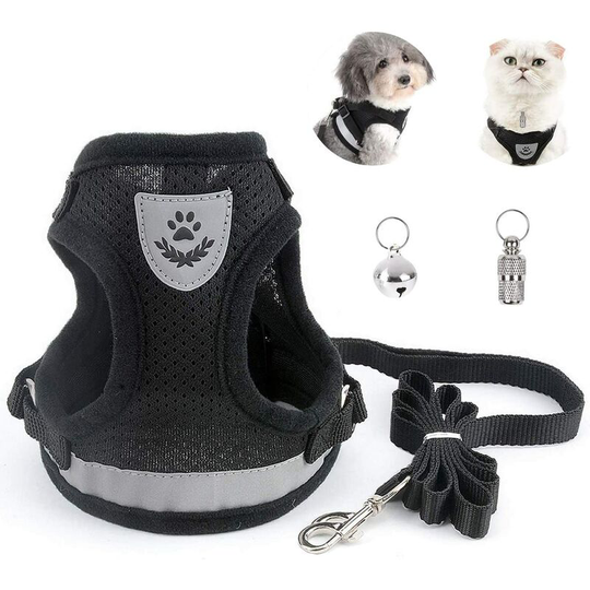 Modou - Adult cat harness, collars, harnesses and leashes for chihuahua cats, kitten harness, with anti-lost direction pendant and bells for cats, m
