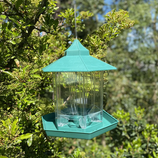 Francena Hopper Bird Feeder